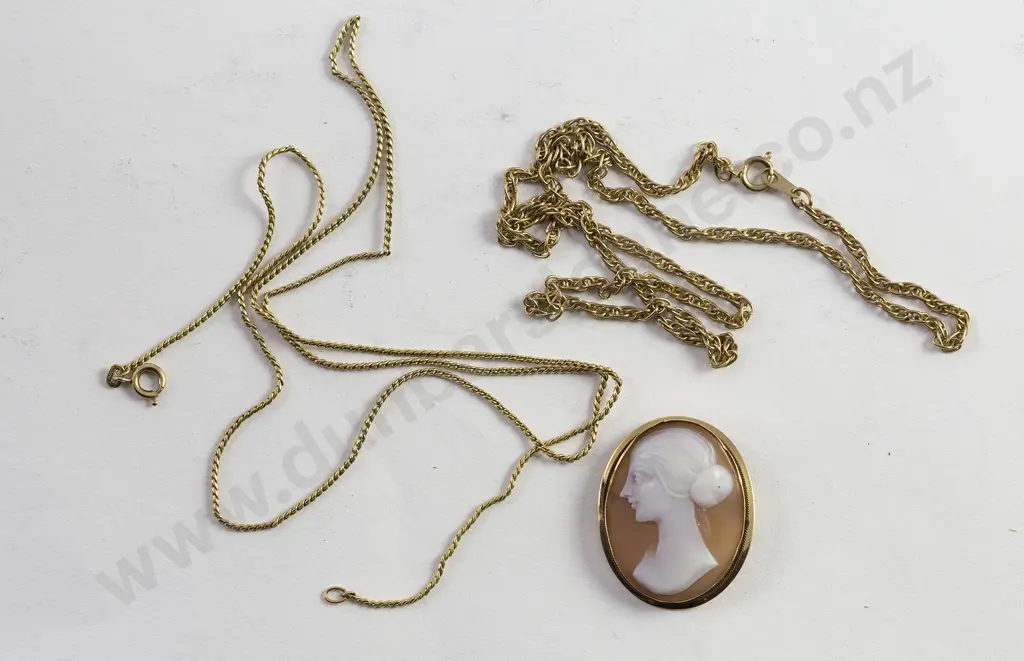18ct Framed Portrait Cameo Brooch/Pendant Image 1++