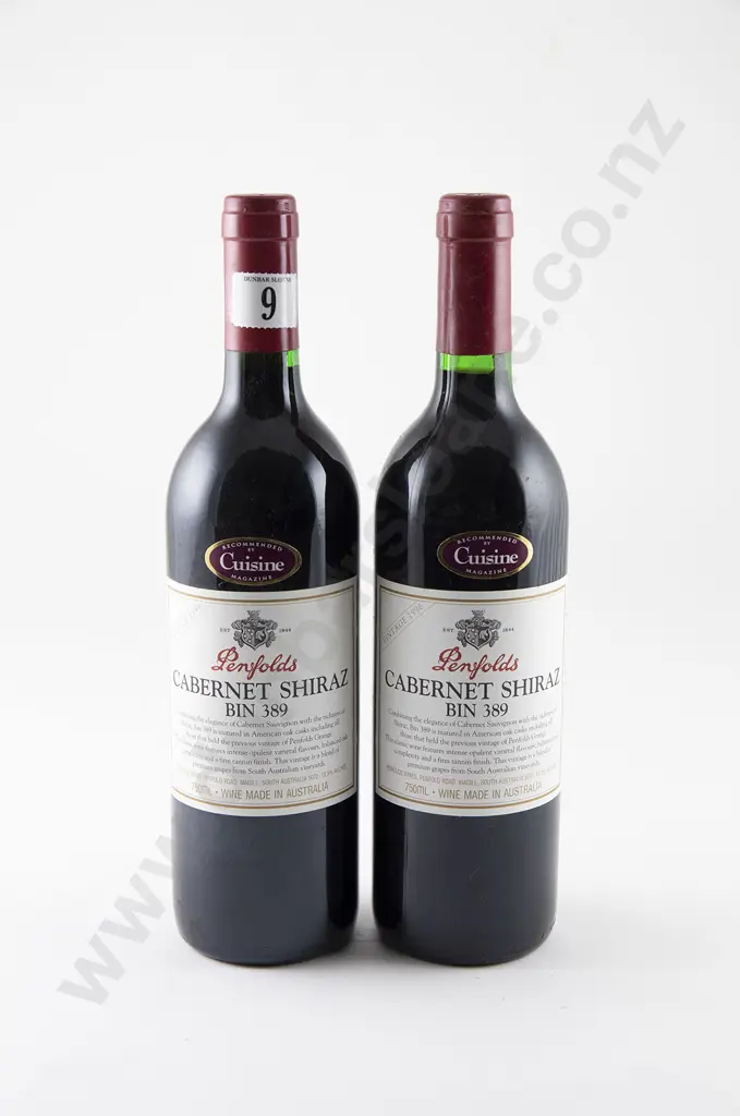 2 bottles Penfolds Bin 389 Cabernet Shiraz Vintage 1996 Image 1++