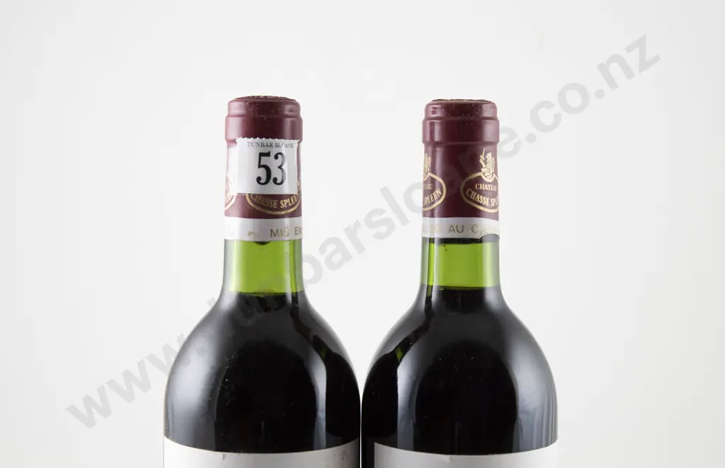 2 bottles Chateau Chasse-Spleen Moulis en Medoc Vintage 1982 Image 1++