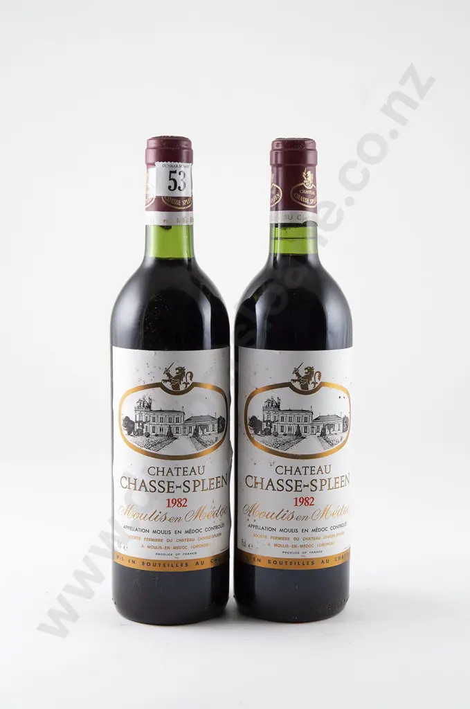 2 bottles Chateau Chasse-Spleen Moulis en Medoc Vintage 1982 Image 1++