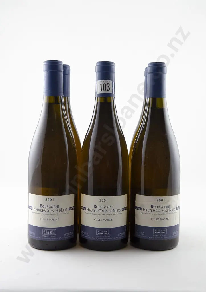 6 bottles Domaine Anne Gros Bourgogne Hautes-Cotes De Nuits Vintage 2001 Image 1++