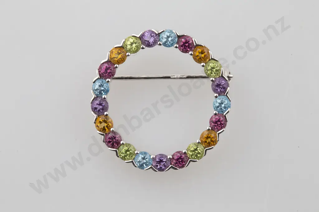 9ct 21stone Multi-Gem Set Circlet Brooch Image 1++