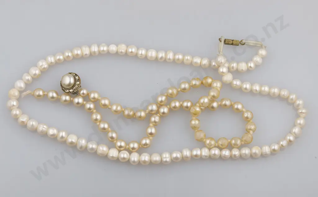 Single Strand Uniform Freshwater Pearl Necklace Image 1++