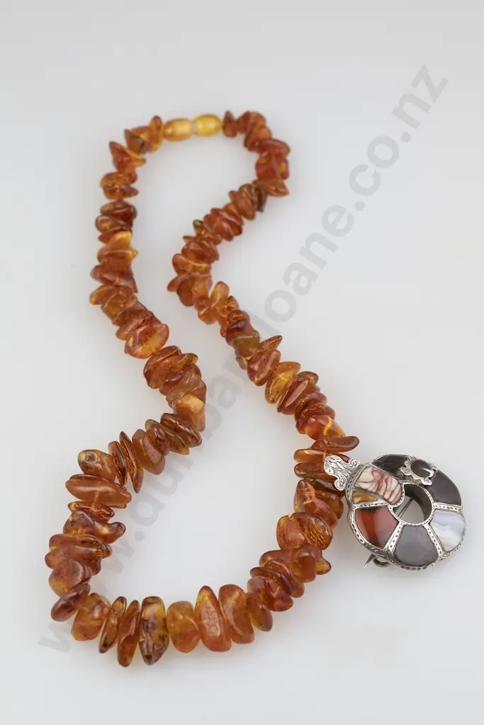 Single Strand Slightly Graduated Amber Bead Necklace Image 1++