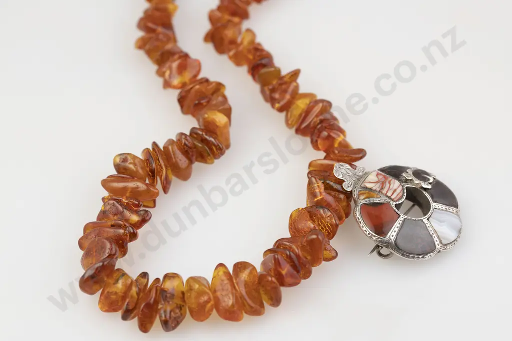 Single Strand Slightly Graduated Amber Bead Necklace Image 1++