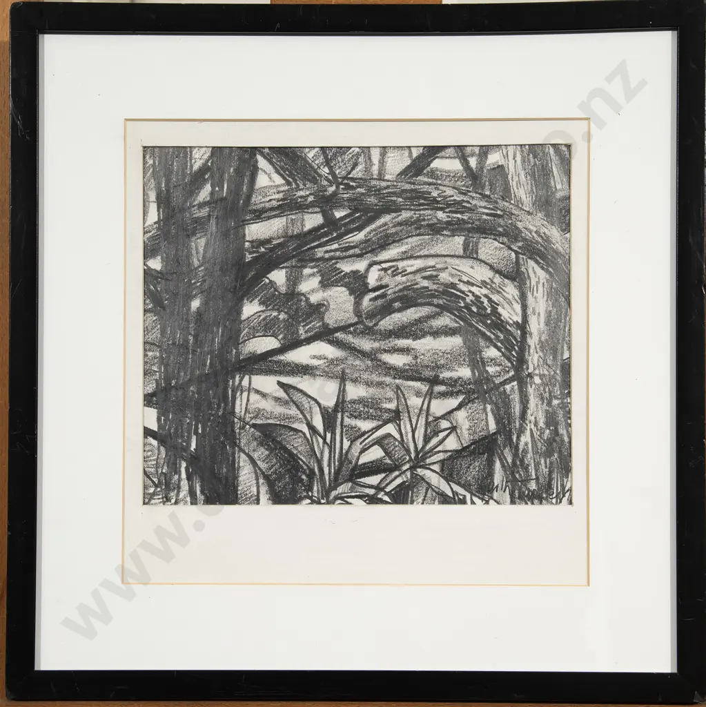 Garth Tapper - Takatu (Near Leigh) Image 1++