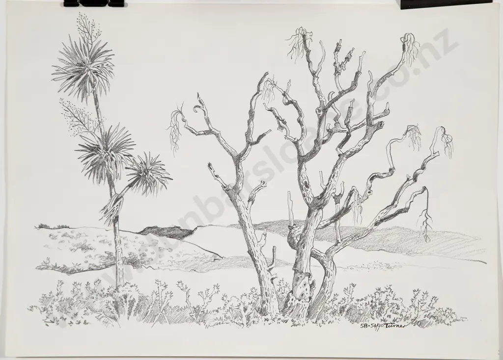 Dennis Knight Turner - Untitled (#58) Image 1++