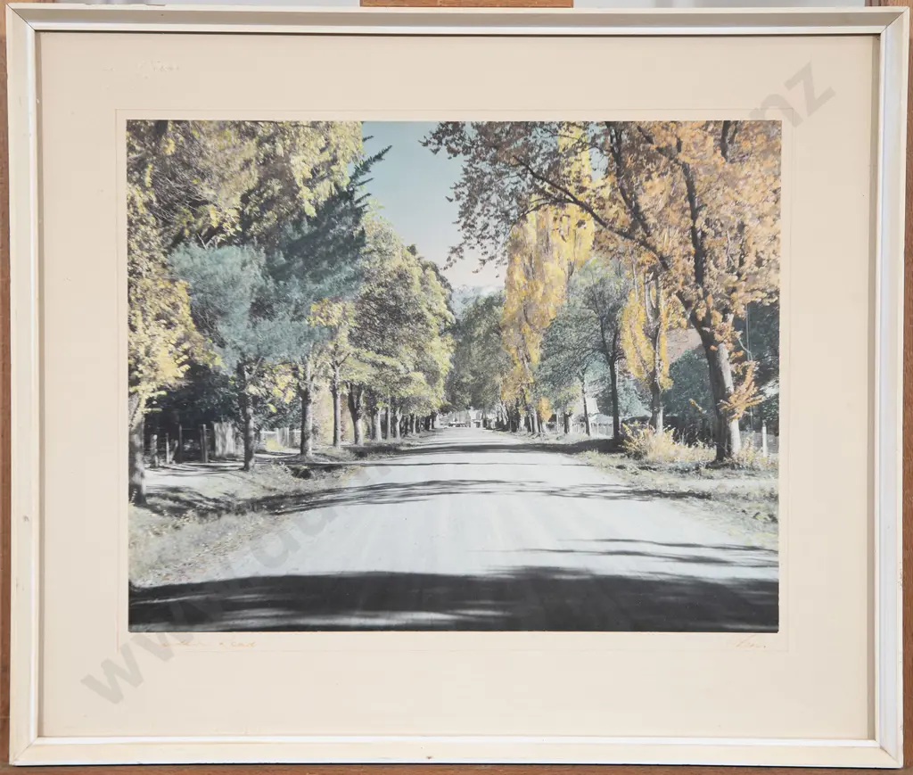 White's Aviation - Arrowtown Road Image 1++