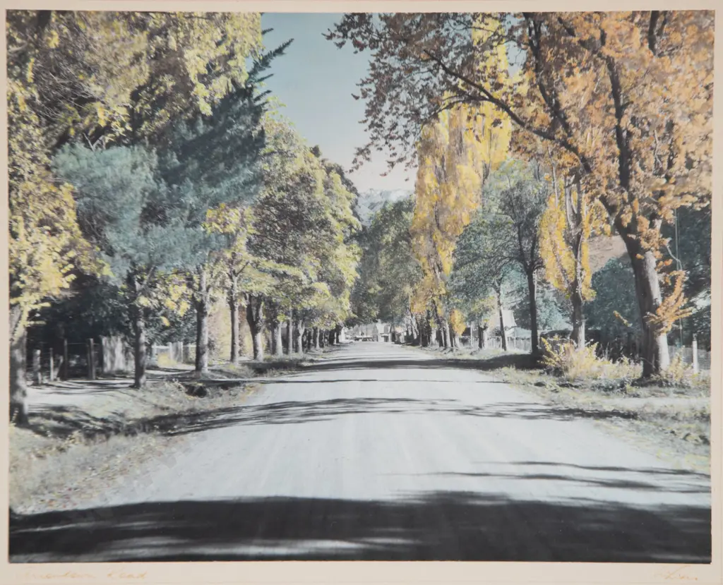 White's Aviation - Arrowtown Road Image 1++