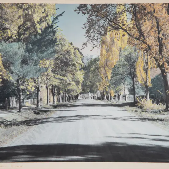White's Aviation - Arrowtown Road
