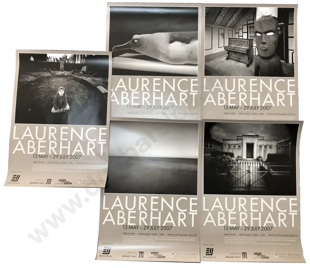 Laurence Aberhart - City Gallery Exhibition Posters (5) Image 1++