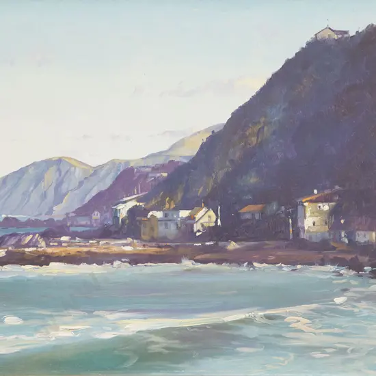 Michael Blow - Towards Owhiro Bay