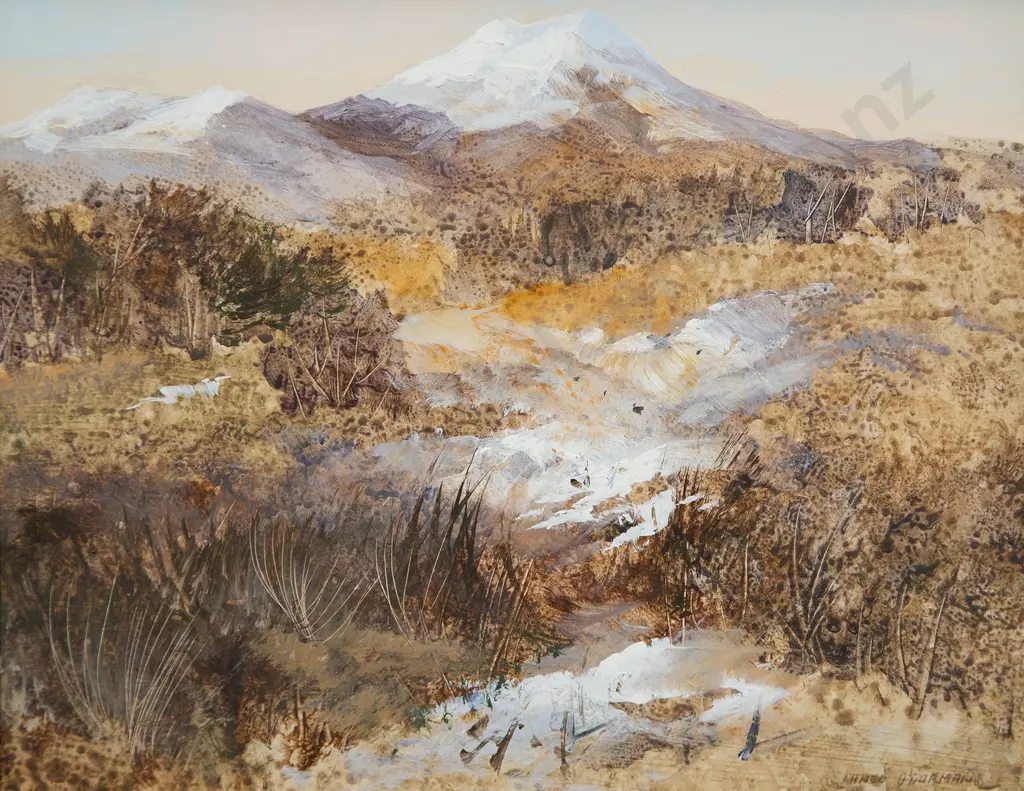Lance O'Gorman - Ngauruhoe National Park Image 1++