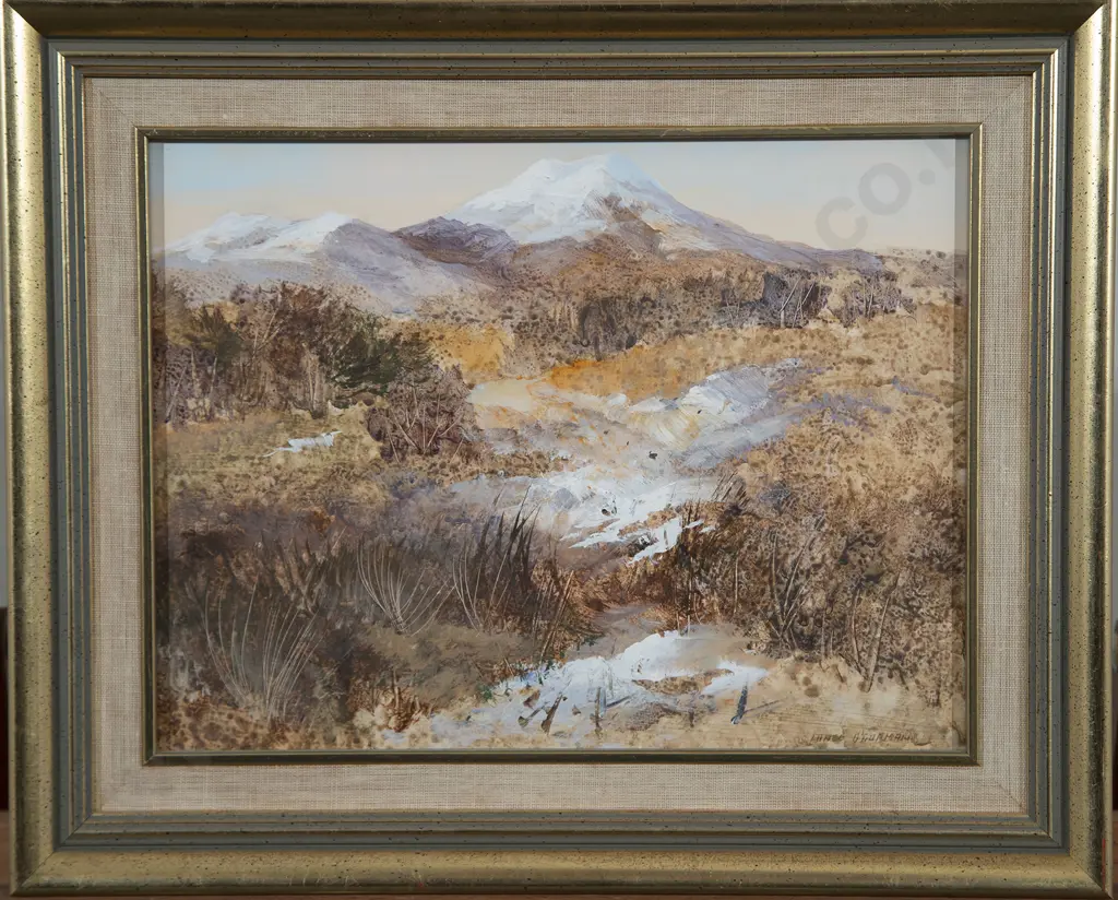 Lance O'Gorman - Ngauruhoe National Park Image 1++