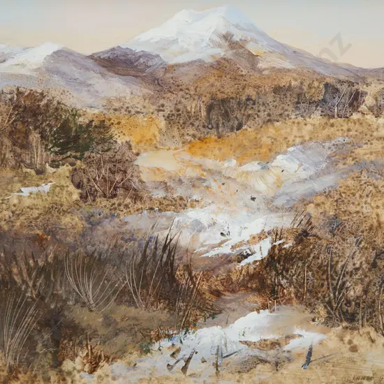 Lance O'Gorman - Ngauruhoe National Park