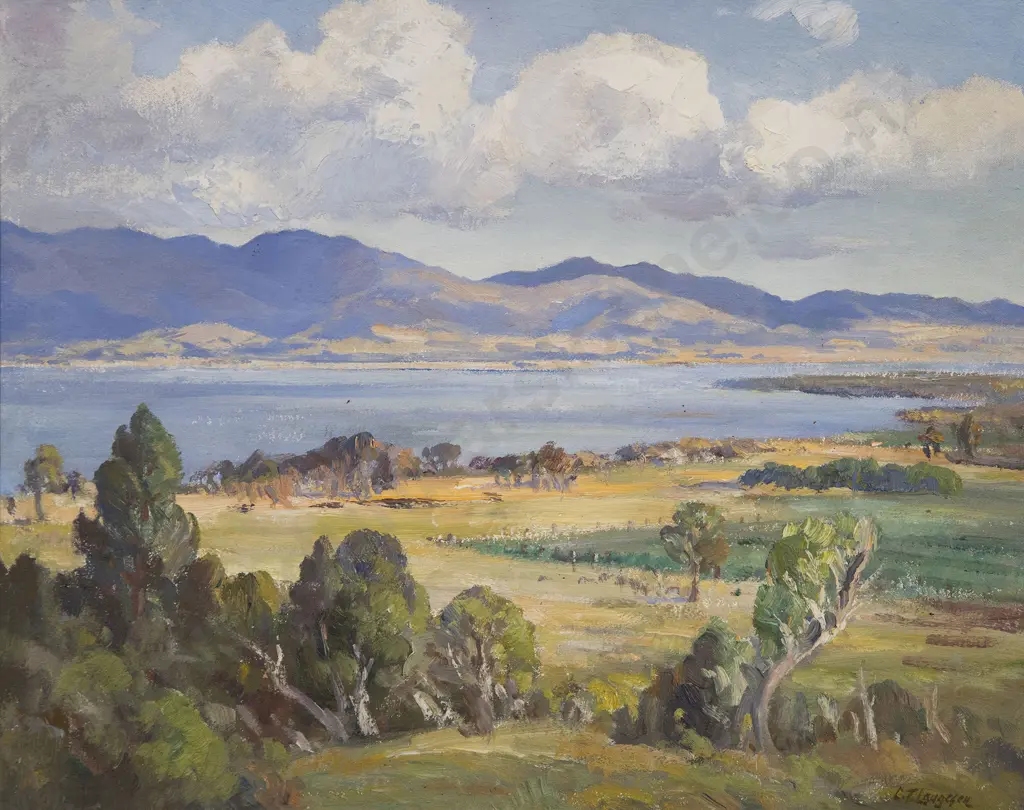 Carl Laugeson - New Zealand Landscape Image 1++