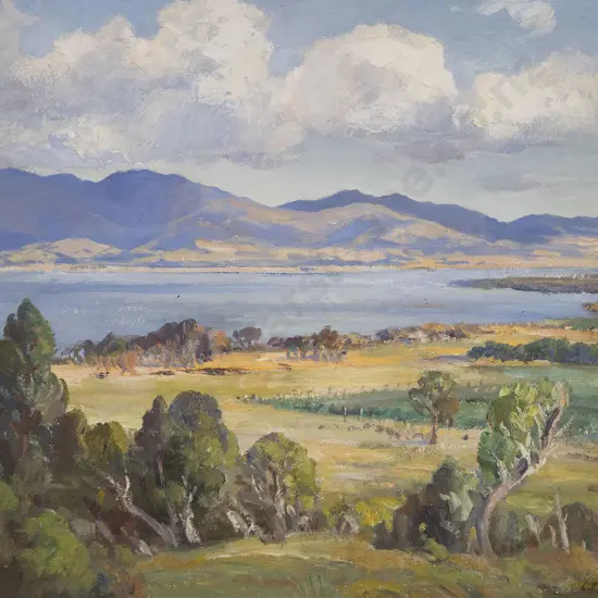 Carl Laugeson - New Zealand Landscape