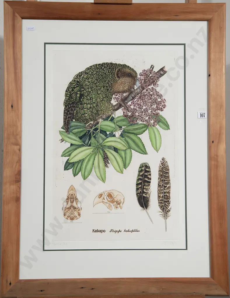 Jo Ogier - Kakapo (Strigops habroptilus) & Brenda Hartill - Gold Metamporphasis VI (2) Image 1++