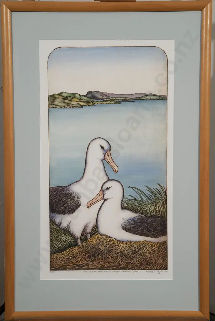 Mary E. Taylor - Royal Albatross Otago Image 1++