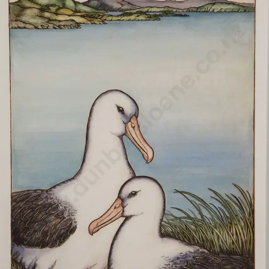 Mary E. Taylor - Royal Albatross Otago