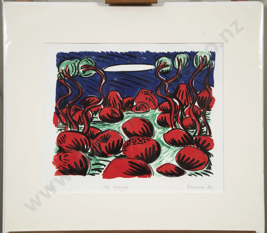 Dean Buchanan - Mt. Mangere Image 1++