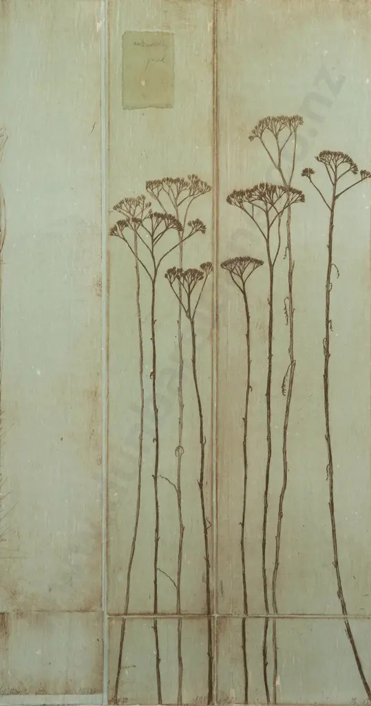 Alannah Brown - Untitled (Yarrow Series) Image 1++