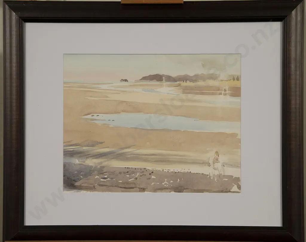 Stewart MacLennan - Cape Foulwind & other (2) Image 1++