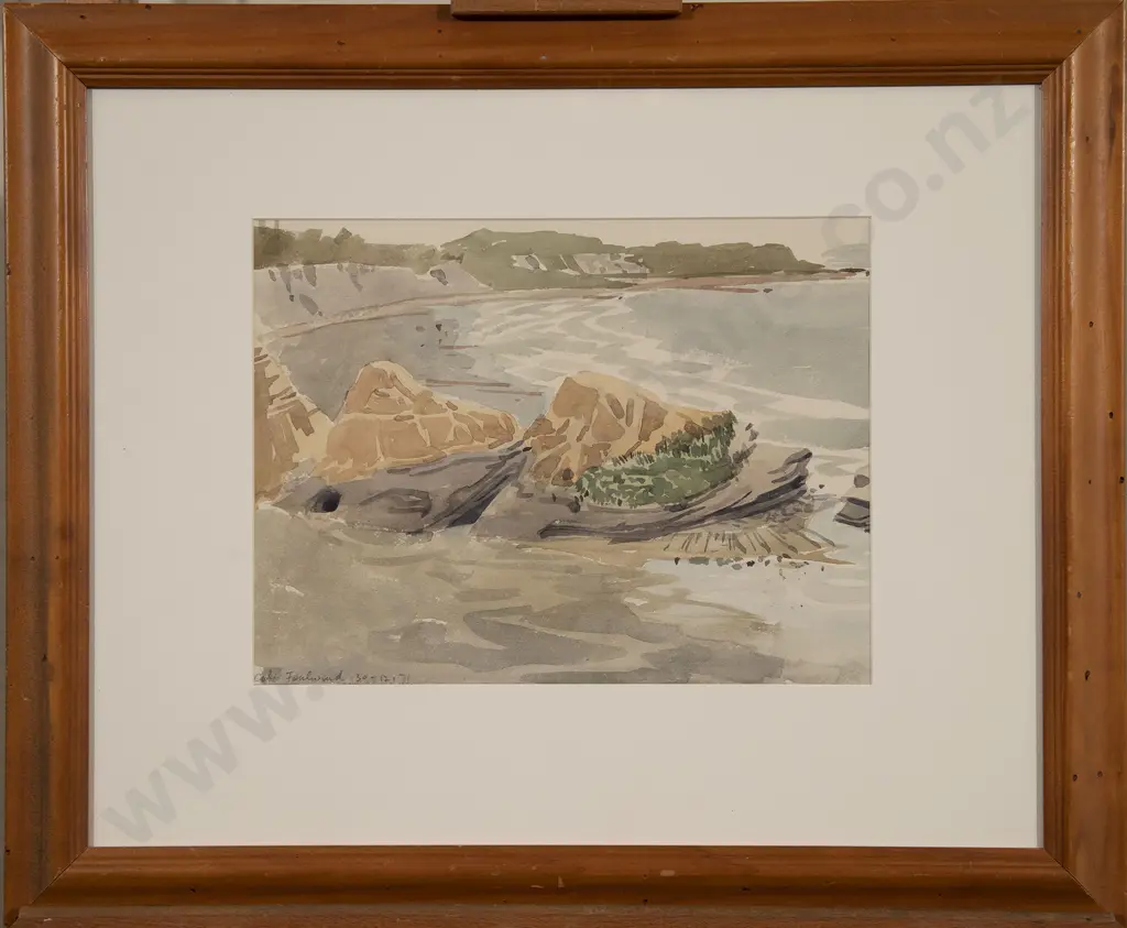 Stewart MacLennan - Cape Foulwind & other (2) Image 1++