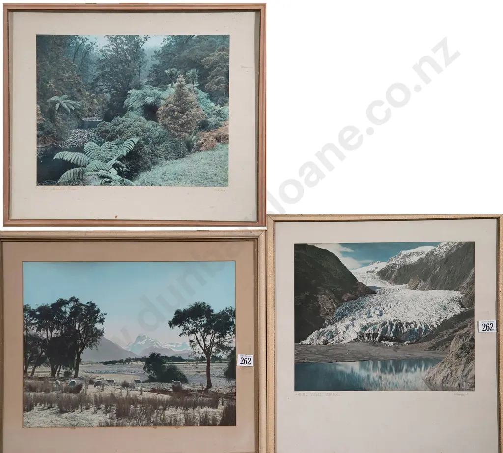 Whites Aviation 'New Zealand Bush' & two other photographs (3) Image 1++