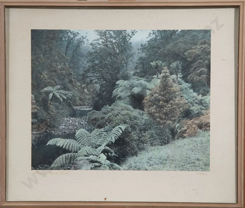 Whites Aviation 'New Zealand Bush' & two other photographs (3) Image 1++