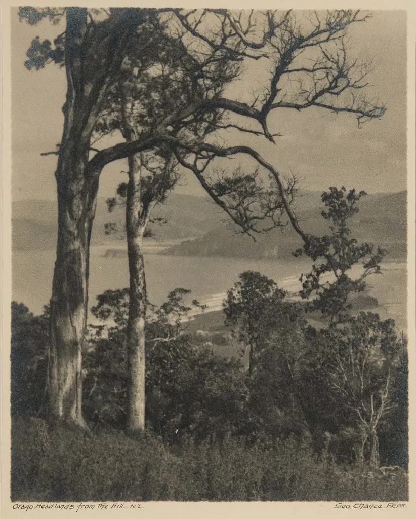 George Chance - Otago Headlands from the Hill NZ Image 1++
