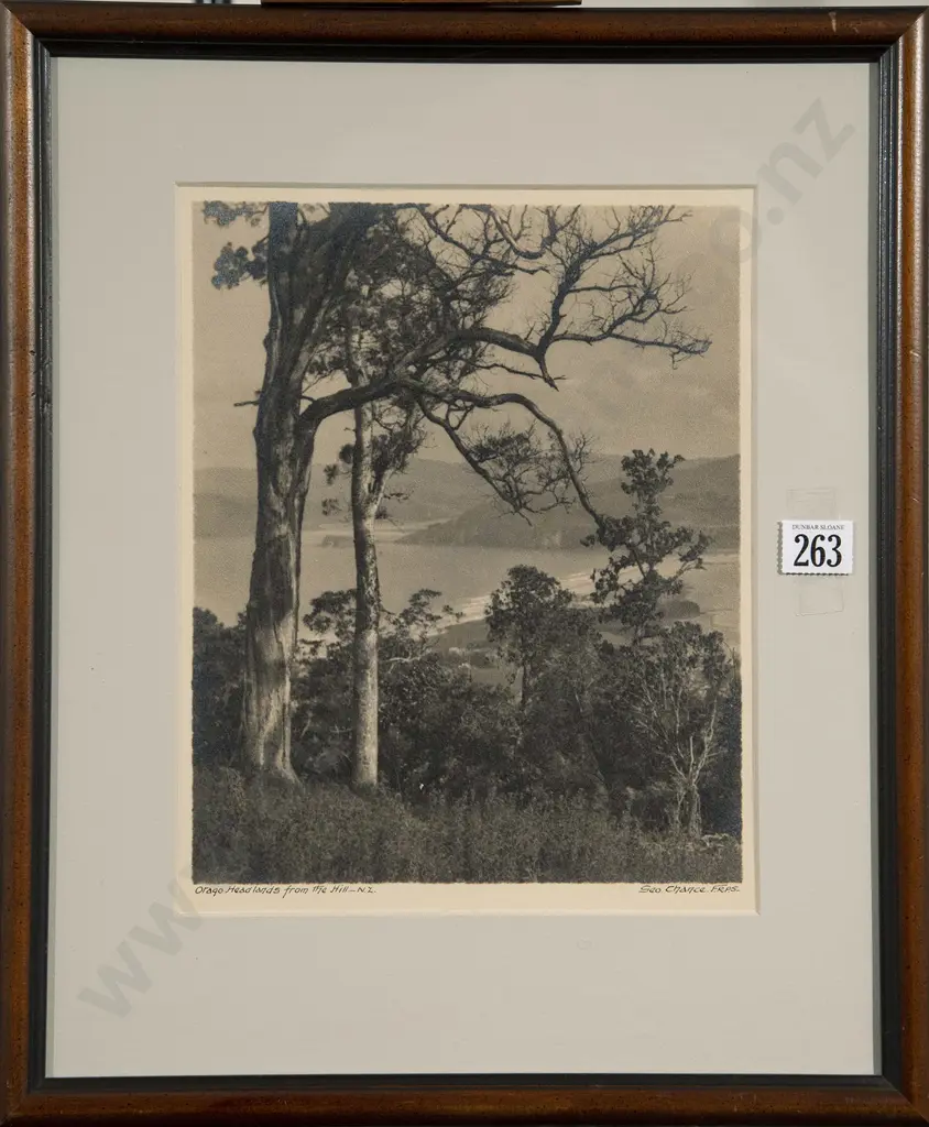 George Chance - Otago Headlands from the Hill NZ Image 1++