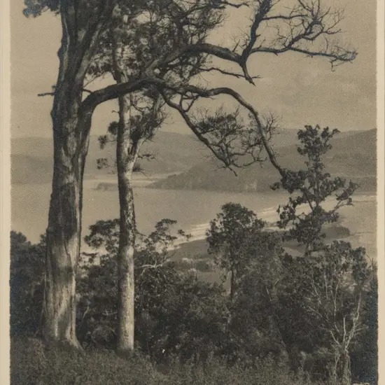 George Chance - Otago Headlands from the Hill NZ