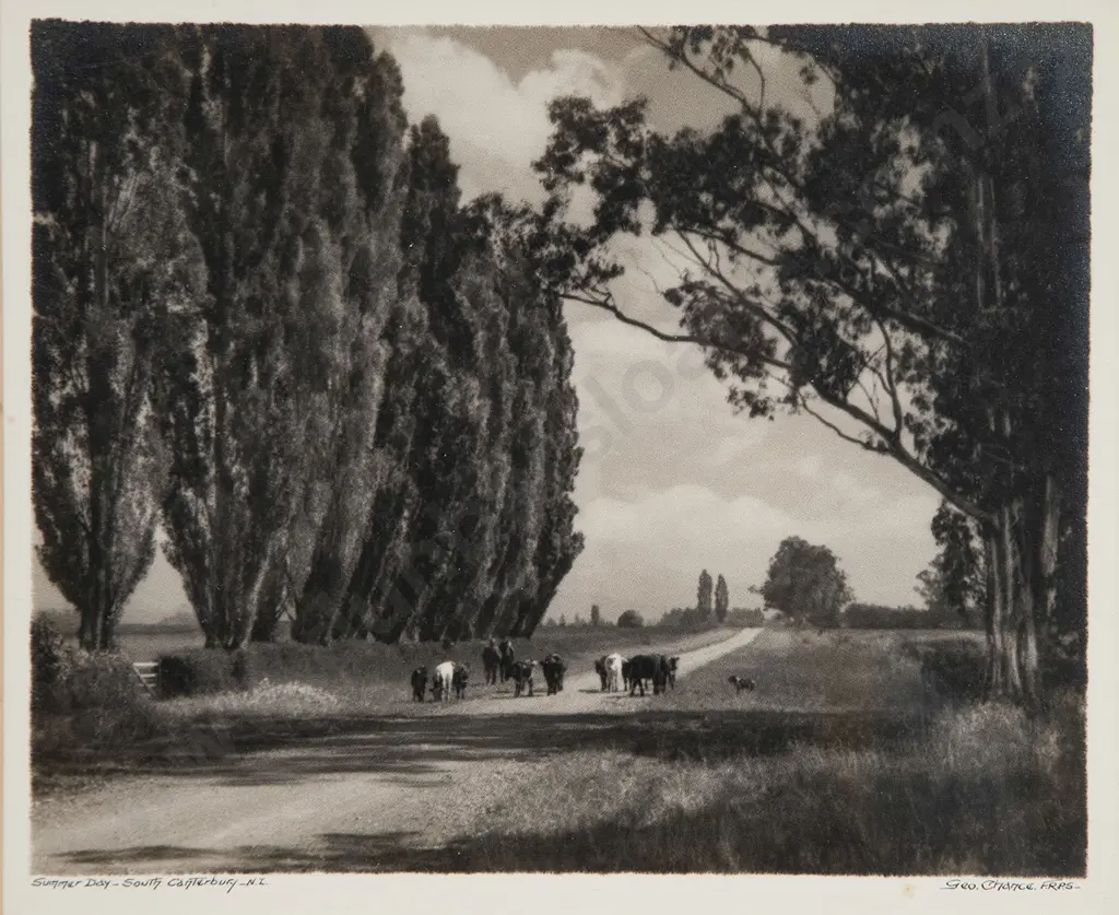 George Chance - Summer Day South Canterbury NZ Image 1++
