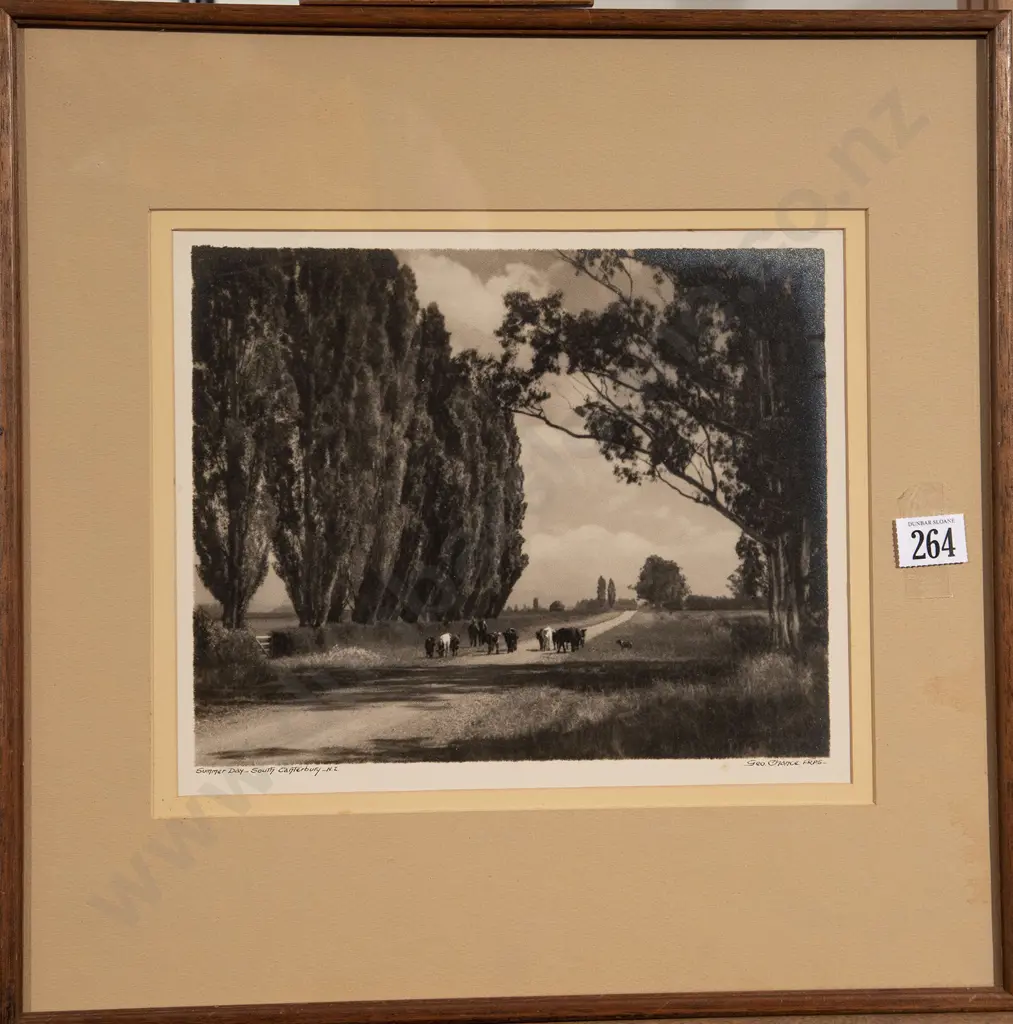 George Chance - Summer Day South Canterbury NZ Image 1++