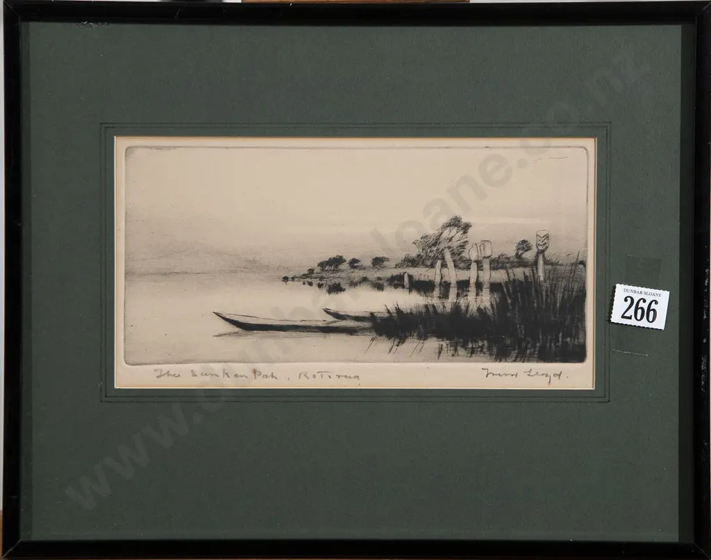 Trevor Lloyd - The Sunken Pah (Rotorua) Image 1++