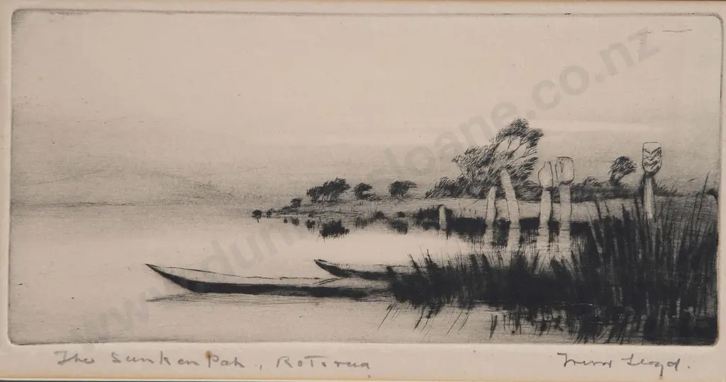Trevor Lloyd - The Sunken Pah (Rotorua) Image 1++