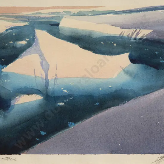 David Barker - Antartica