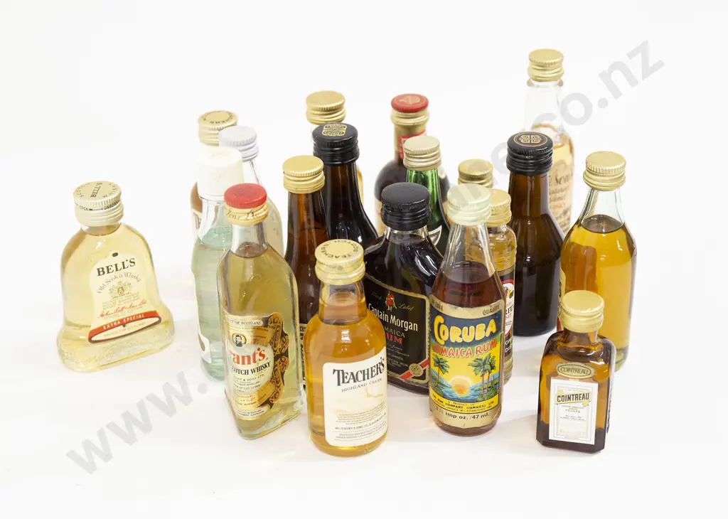 Qty of Assorted Alcoholic Miniatures (19) Image 1++