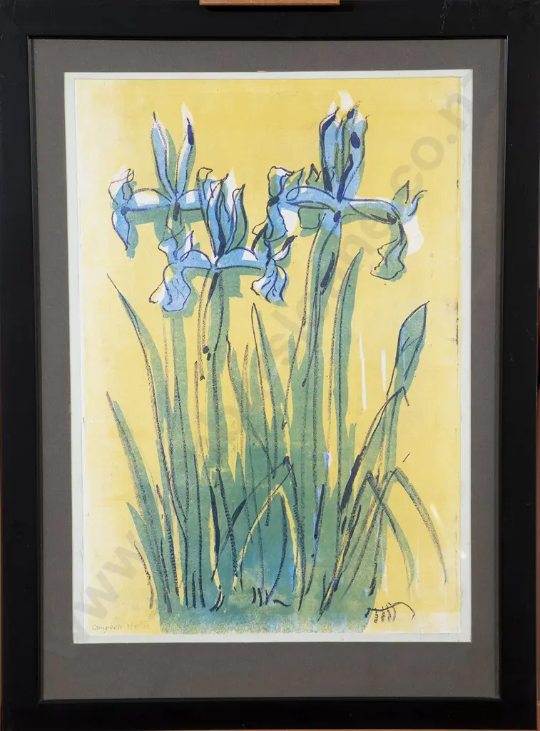 Campbell ltd ed Print 'Irises' Image 1++