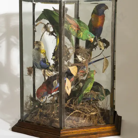 Vict Octagonal Glazed Display Of Small Birds