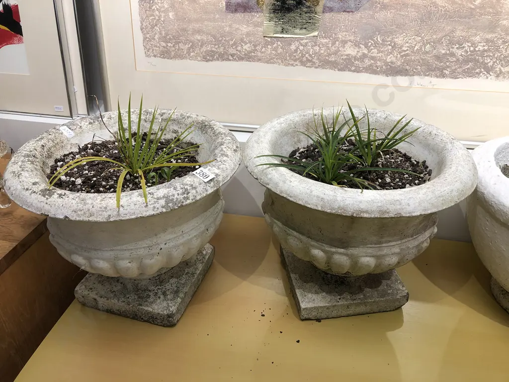 Pair of Concrete Planters Image 1++
