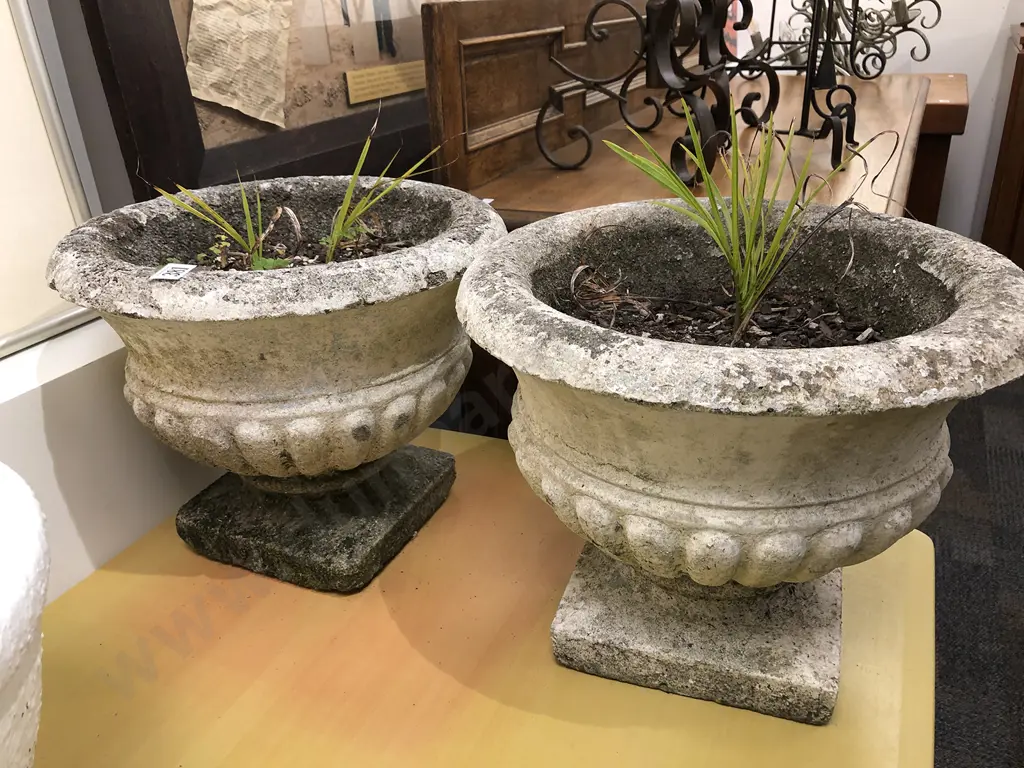 Pair of Concrete Planters Image 1++