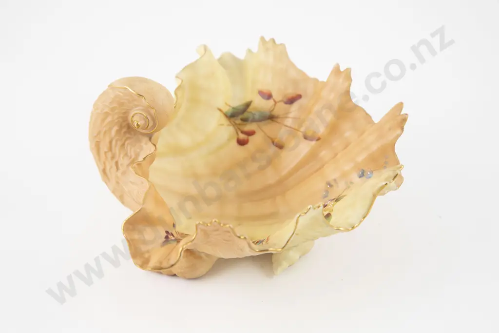 Royal Worcester Nautilus Shell Bowl Image 1++