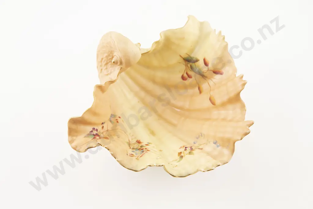 Royal Worcester Nautilus Shell Bowl Image 1++