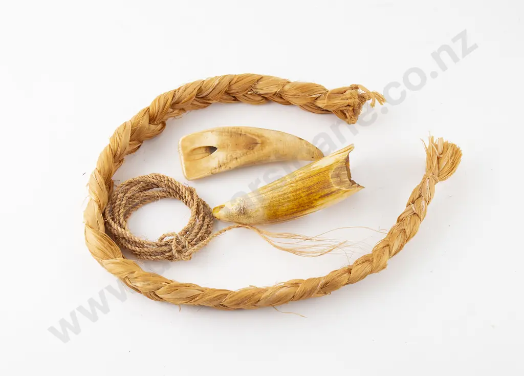 Fijian Tabu and Whale Tooth Image 1++