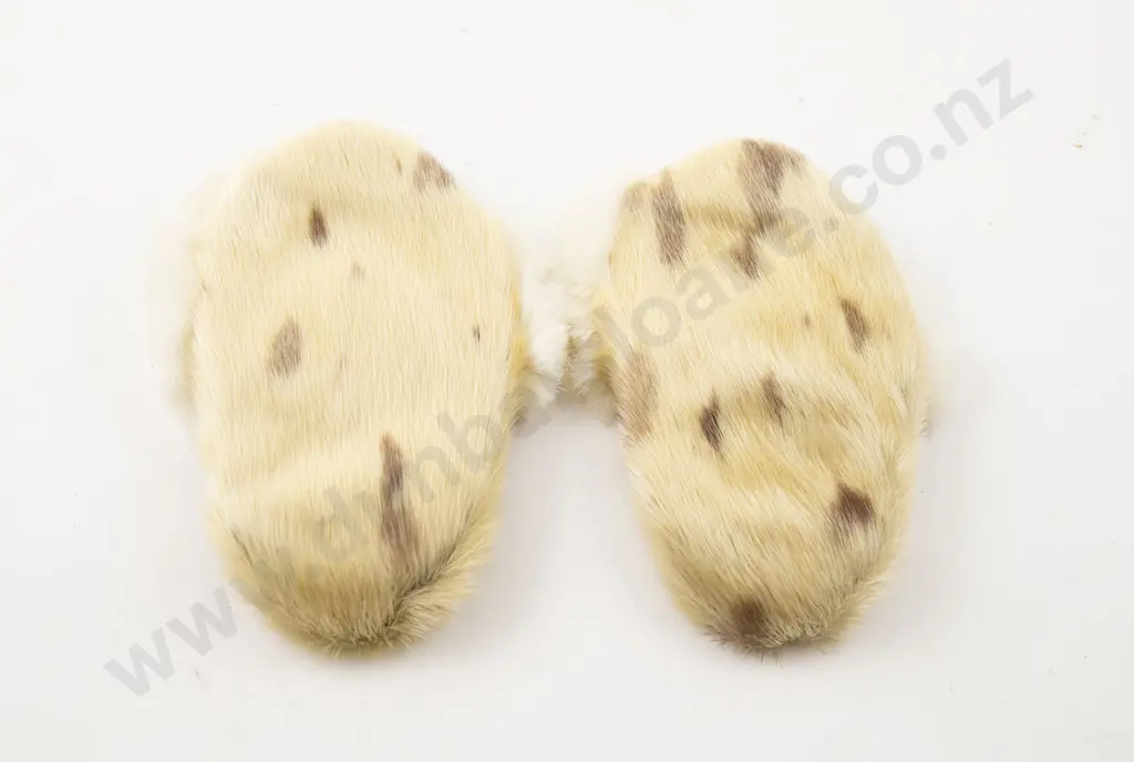 Pair Seal Skin Moccasins Image 1++
