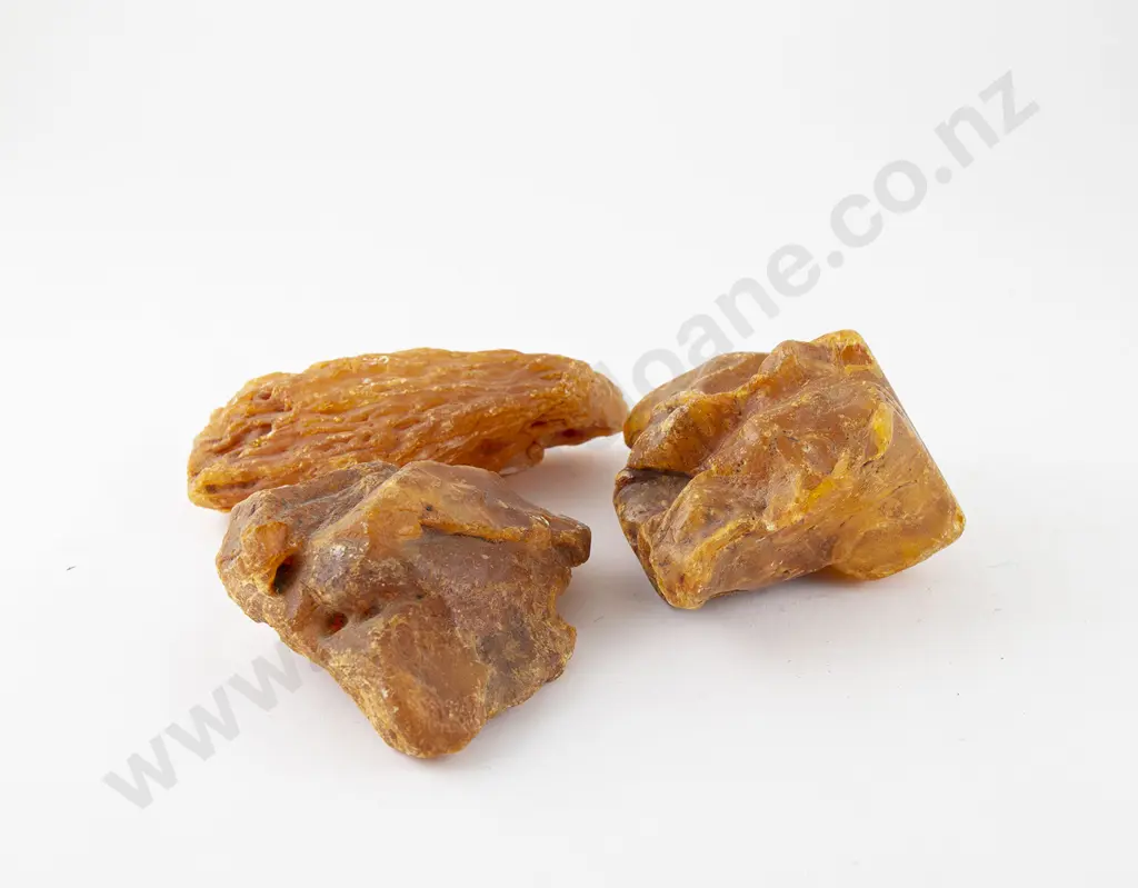 Three pieces of Kauri Gum Image 1++