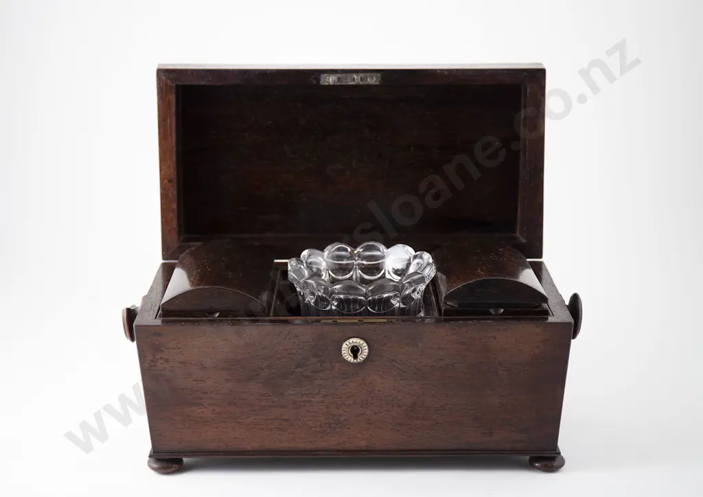 Wm IV Rosewood Sarcophagus Tea Caddy Image 1++