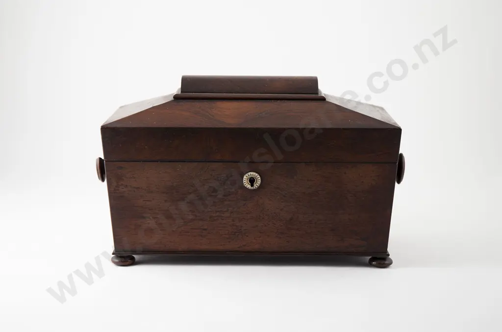Wm IV Rosewood Sarcophagus Tea Caddy Image 1++